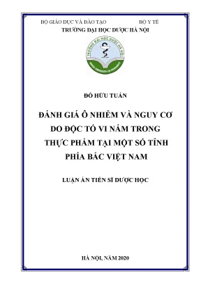 Luận án tiến sĩ đánh giá ô nhiễm và nguy cơ do độc tố vi nấm trong thực phẩm tại một số tỉnh phía bắc việt nam