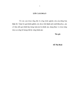 Luận án nghiên cứu các giải pháp kỹ thuật nâng cao độ chính xác của bình đồ ảnh tỷ lệ lớn từ ảnh vệ tinh độ phân giải cao
