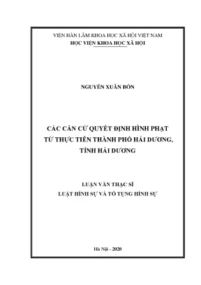 Luận án tiến sĩ các căn cứ quyết định hình phạt từ thực tiễn thành phố hải dương tỉnh hải dương