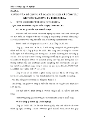 Luận văn tốt nghiệp kế toán tài chính tại công ty tnhh selta