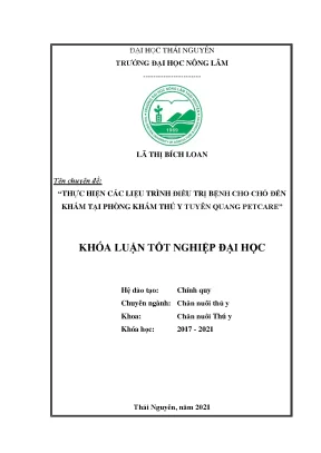 Luận văn tốt nghiệp thực hiện các liệu trình điều trị bệnh cho chó đến khám tại phòng khám thú y tuyên quang petcare
