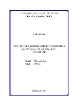 Luận văn thạc sĩ thực hiện chính sách việc làm cho thanh niên trên địa bàn thành phố buôn ma thuột tỉnh đắk lắk