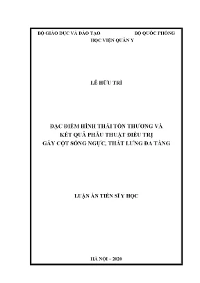 Luận án tiến sĩ đặc điểm hình thái tổn thương và kết quả phẫu thuật điều trị gãy cột sống ngực thắt lưng đa tầng