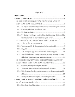 Luận án đánh giá tác động của thông khí bảo vệ phổi trong tuần hoàn ngoài cơ thể lên đáp ứng viêm và tình trạng phổi ở bệnh nhân phẫu thuật mạch vành