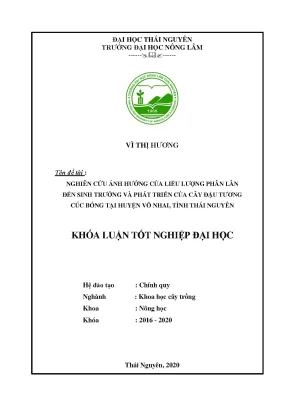 Luận văn tốt nghiệp nghiên cứu ảnh hưởng của liều lượng phân lân đến sự sinh trưởng và phát triển của cây đậu tương cúc bóng tại huyện võ nhai tỉnh thái nguyên