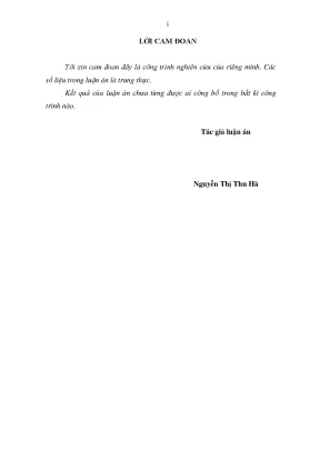 Luận án phát triển đội ngũ công chức quản lý nhà nước về biển và hải đảo theo tiếp cận năng lực trong bối cảnh hiện nay