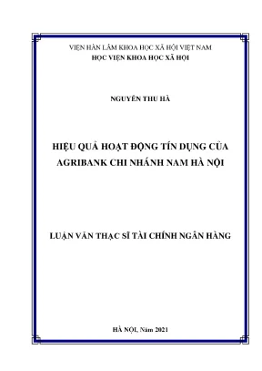 Luận văn thạc sĩ hiệu quả hoạt động tín dụng của agribank chi nhánh nam hà nội