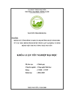 Luận văn tốt nghiệp khảo sát tình hình vi khuẩn họ đường ruột sinh esbl từ các mẫu bệnh phẩm được phân lập tại khoa vi sinh bệnh viện trung ương thái nguyên