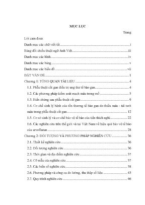 Luận án hiệu quả bảo vệ tế bào gan của sevofluran trong phẫu thuật cắt gan