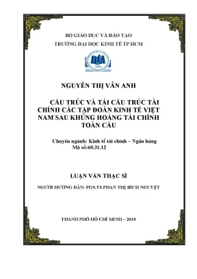 Luận văn thạc sĩ cấu trúc và tái cấu trúc tài chính các tập đoàn kinh tế việt nam sau khủng hoảng tài chính toàn cầu