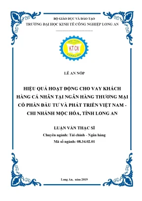 Luận văn thạc sĩ hiệu quả hoạt động cho vay khách hàng cá nhân tại ngân hàng thương mại cổ phần đầu tư và phát triển việt nam chi nhánh mộc hóa tỉnh long an