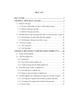 Luận án nghiên cứu tác dụng kích thích miễn dịch và chống viêm gan mạn của viên nén livganic trên thực nghiệm