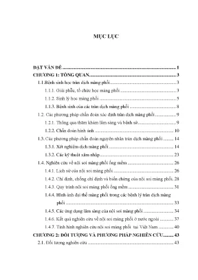 Luận án nghiên cứu vai trò của nội soi màng phổi ống mềm trong chẩn đoán nguyên nhân tràn dịch màng phổi