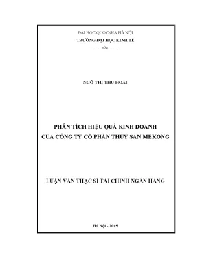 Luận văn thạc sĩ phân tích hiệu quả kinh doanh của công ty cổ phần thủy sản mekong