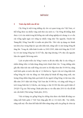 Luận án nghiên cứu ảnh hưởng của một số biện pháp kỹ thuật đến các chỉ tiêu sinh lý và nông sinh học của cây bông trồng tại duyên hải nam trung bộ