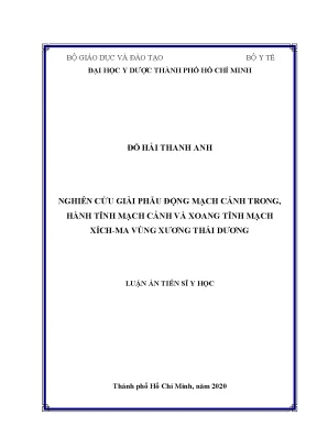 Luận án tiến sĩ nghiên cứu giải phẫu động mạch cảnh trong hành tĩnh mạch cảnh và xoang tĩnh mạch xích ma vùng xương thái dương