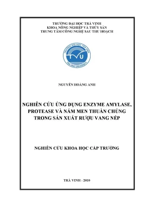 Luận án tiến sĩ nghiên cứu ứng dụng enzyme amylase protease và nấm men thuần chủng trong sản xuất rượu vang nếp