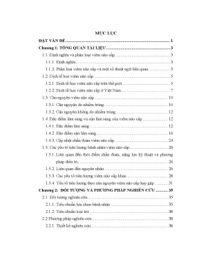 Luận án nghiên cứu căn nguyên đặc điểm dịch tễ học lâm sàng cận lâm sàng và yếu tố tiên lượng bệnh viêm não cấp ở trẻ em việt nam