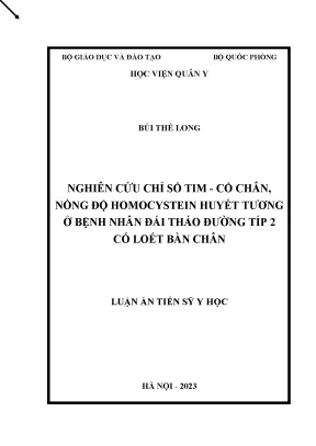 Luận án tiến sĩ nghiên cứu chỉ số tim cổ chân nồng độ homocystein huyết tương ở bệnh nhân đái tháo đường típ 2 có loét bàn chân