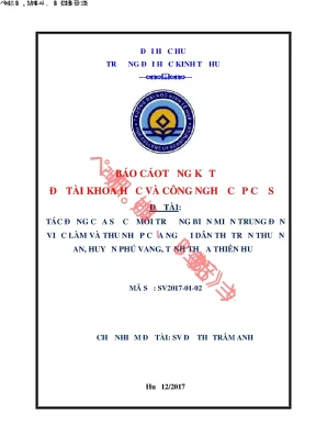 Luận văn thạc sĩ tác động của sự cố môi trường biển miền trung đến việc làm và thu nhập của người dân ở thị trấn thuận an huyện phú vang tỉnh thừa thiên huế