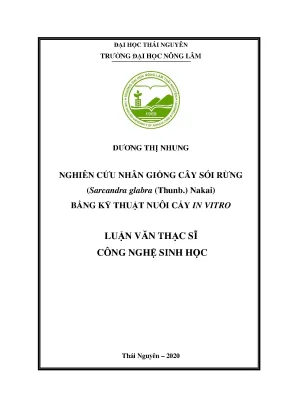 Luận văn tốt nghiệp nghiên cứu nhân giống cây sói rừng sarcandra glabra thunb nakai bằng kỹ thuật nuôi cấy in vitro