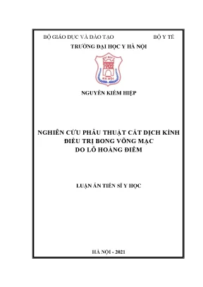 Luận án tiến sĩ nghiên cứu phẫu thuật cắt dịch kính điều trị bong võng mạc do lỗ hoàng điểm