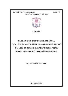 Luận án tiến sĩ nghiên cứu đặc điểm lâm sàng cận lâm sàng và tình trạng kháng thuốc ức chế tyrosine kinase ở bệnh nhân ung thư phổi có đột biến gen egfr