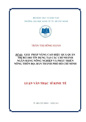 Luận văn thạc sĩ giải pháp nâng cao hiệu quả quản trị rủi ro tín dụng tại các chi nhánh ngân hàng nông nghiệp và phát triển nông thôn địa bàn thành phố hồ chí minh