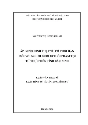 Luận án tiến sĩ áp dụng hình phạt tù có thời hạn đối với người dưới 18 tuổi phạm tội từ thực tiễn tỉnh bắc ninh