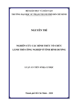 Luận văn thạc sĩ nghiên cứu các hình thức tổ chức lãnh thổ công nghiệp ở tỉnh bình dương