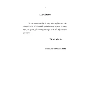 Luận án thực hiện pháp luật về đầu tư nước ngoài ở nước cộng hòa dân chủ nhân dân lào hiện nay