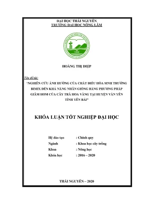 Luận văn tốt nghiệp nghiên cứu ảnh hưởng của chất điều hòa sinh trưởng bimix đến khả năng nhân giống bằng phương pháp giâm hom của cây trà hoa vàng tại huyện văn yên tỉnh yên bái