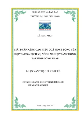 Luận văn thạc sĩ giải pháp nâng cao hiệu quả hoạt động của htx dịch vụ nông nghiệp tân cường tại tỉnh đồng tháp