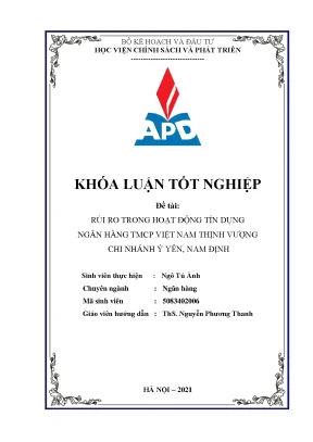 Luận văn tốt nghiệp rủi ro trong hoạt động tín dụng tại ngân hàng tmcp việt nam thịnh vượng chi nhánh ý yên nam định