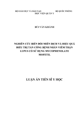 Luận án tiến sĩ nghiên cứu biến đổi miễn dịch và hiệu quả điều trị tấn công bệnh nhân viêm thận lupus có sử dụng mycophenolate mofetil