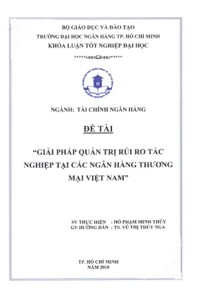 Luận văn thạc sĩ giải pháp quản trị rủi ro tác nghiệp tại các ngân hàng thương mại việt nam
