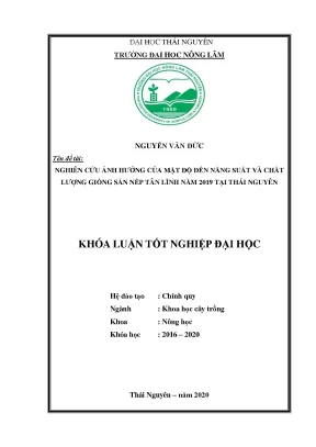 Luận văn tốt nghiệp nghiên cứu ảnh hưởng của mật độ trồng đến năng suất và chất lượng giống sắn nếp tân lĩnh năm 2019 tại trường đại học nông lâm thái nguyên