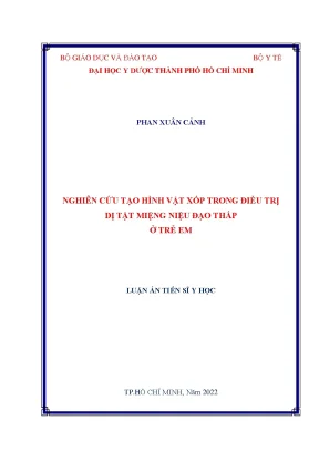 Luận án tiến sĩ nghiên cứu tạo hình vật xốp trong điều trị dị tật miệng niệu đạo thấp ở trẻ em