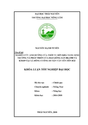 Luận văn tốt nghiệp nghiên cứu ảnh hưởng của thời vụ đến khả năng sinh trưởng và phát triển của hai giống sắn bka900 và km419 tại xã đông cuông huyện văn yên yên bái