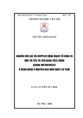 Luận án tiến sĩ nghiên cứu giá trị doppler động mạch tử cung và một số yếu tố liên quan tiên lượng kháng methotrexat ở bệnh nhân u nguyên bào nuôi nguy cơ thấp