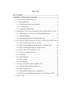 Luận án nghiên cứu hiệu quả giảm đau sau mổ của gây tê đám rối thần kinh thắt lưng dưới hướng dẫn của siêu âm trong các phẫu thuật chi dưới