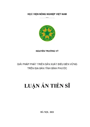 Luận án tiến sĩ giải pháp phát triển sản xuất điều bền vững trên địa bàn tỉnh bình phước