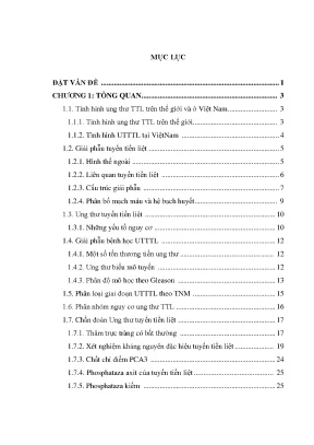 Luận án nghiên cứu ứng dụng phương pháp sinh thiết tuyến tiền liệt 12 mẫu dưới hướng dẫn của siêu âm qua trực tràng trong chẩn đoán ung thư tuyến tiền liệt