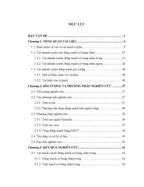 Luận án nghiên cứu giải phẫu các vạt mạch xuyên cơ bụng chân và động mạch gối xuống