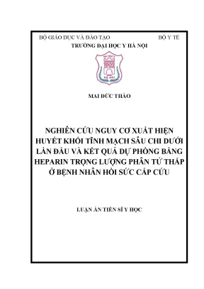 Luận án tiến sĩ nghiên cứu nguy cơ xuất hiện huyết khối tĩnh mạch sâu chi dưới lần đầu và kết quả dự phòng bằng heparin trọng lượng phân tử thấp ở bệnh nhân hồi sức cấp cứu