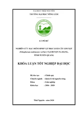 Luận văn tốt nghiệp nhiên cứu đặc điểm sinh vật học loài lim xẹt peltophorum tonkinensis a chev tại huyện na hang tỉnh tuyên quang