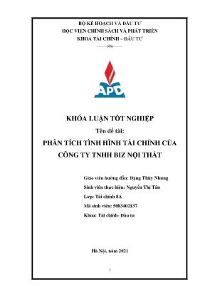 Luận văn tốt nghiệp phân tích tình hình tài chính tại công ty tnhh biz nội thất