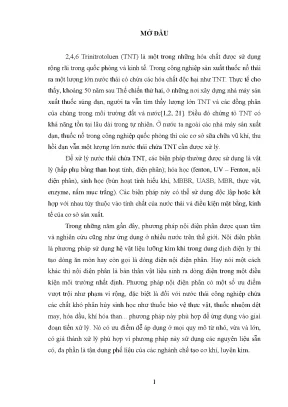Luận án luận án nghiên cứu kết hợp phương pháp nội điện phân và phương pháp màng sinh học lưu động a2o mbbr để xử lý nước thải nhiễm tnt