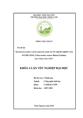 Luận văn tốt nghiệp đánh giá khả năng kháng khuẩn từ dịch chiết cây mảnh cộng clinacanthus nutans burm f lindau thái nguyên