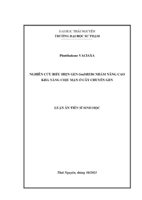 Luận án tiến sĩ nghiên cứu biểu hiện gen gmdreb6 nhằm nâng cao khả năng chịu mặn ở cây chuyển gen